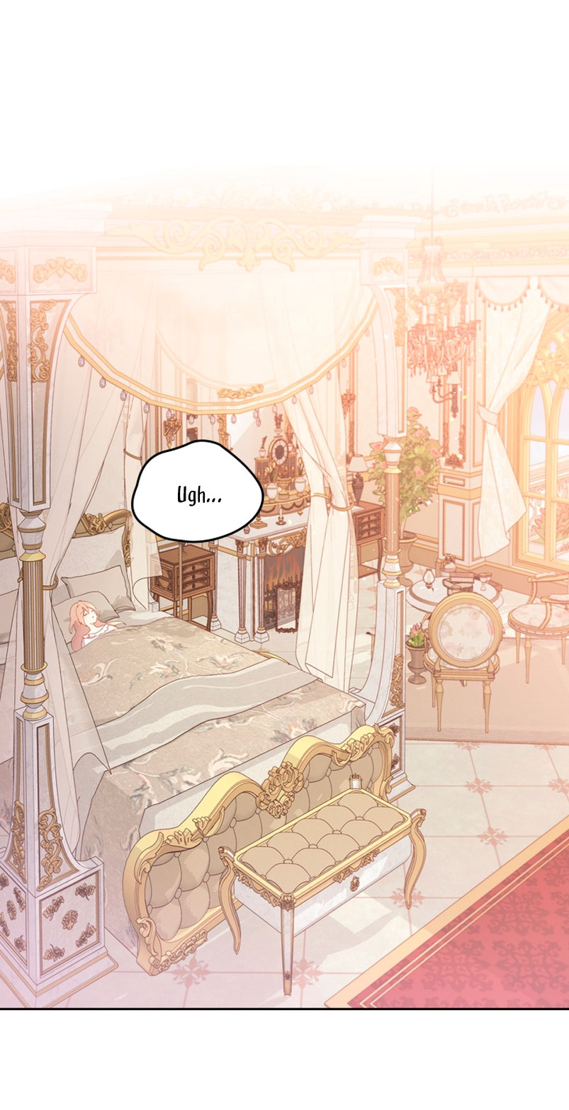 Accidentalmente salvé al hermano del protagonista  Capitulo 42 page 3
